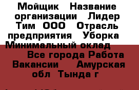 Мойщик › Название организации ­ Лидер Тим, ООО › Отрасль предприятия ­ Уборка › Минимальный оклад ­ 15 300 - Все города Работа » Вакансии   . Амурская обл.,Тында г.